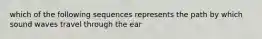 which of the following sequences represents the path by which sound waves travel through the ear