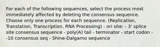 For each of the following sequences, select the process most immediately affected by deleting the consensus sequence. Choose only one process for each sequence. (Replication, Translation, Transcription, RNA Processing) - ori site: - 3' splice site consensus sequence - poly(A) tail - terminator - start codon - -10 consensus seq - Shine-Dalgarno sequence