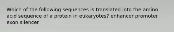 Which of the following sequences is translated into the amino acid sequence of a protein in eukaryotes? enhancer promoter exon silencer