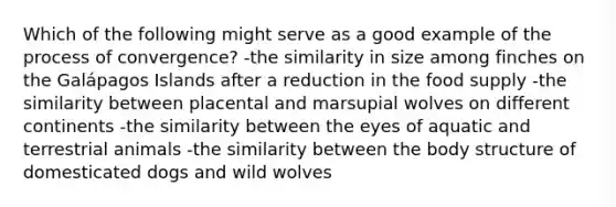 Which of the following might serve as a good example of the process of convergence? -the similarity in size among finches on the Galápagos Islands after a reduction in the food supply -the similarity between placental and marsupial wolves on different continents -the similarity between the eyes of aquatic and terrestrial animals -the similarity between the body structure of domesticated dogs and wild wolves