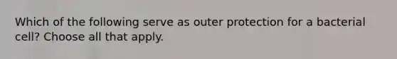 Which of the following serve as outer protection for a bacterial cell? Choose all that apply.