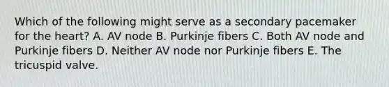 Which of the following might serve as a secondary pacemaker for the heart? A. AV node B. Purkinje fibers C. Both AV node and Purkinje fibers D. Neither AV node nor Purkinje fibers E. The tricuspid valve.