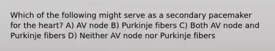 Which of the following might serve as a secondary pacemaker for the heart? A) AV node B) Purkinje fibers C) Both AV node and Purkinje fibers D) Neither AV node nor Purkinje fibers