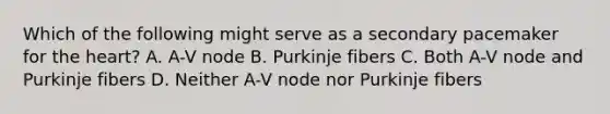 Which of the following might serve as a secondary pacemaker for the heart? A. A-V node B. Purkinje fibers C. Both A-V node and Purkinje fibers D. Neither A-V node nor Purkinje fibers