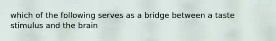 which of the following serves as a bridge between a taste stimulus and the brain