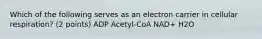 Which of the following serves as an electron carrier in cellular respiration? (2 points) ADP Acetyl-CoA NAD+ H2O