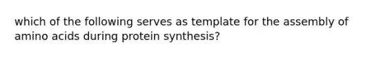 which of the following serves as template for the assembly of amino acids during protein synthesis?