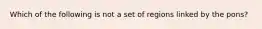 Which of the following is not a set of regions linked by the pons?