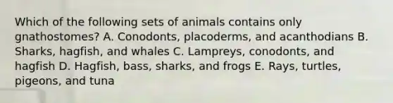 Which of the following sets of animals contains only gnathostomes? A. Conodonts, placoderms, and acanthodians B. Sharks, hagfish, and whales C. Lampreys, conodonts, and hagfish D. Hagfish, bass, sharks, and frogs E. Rays, turtles, pigeons, and tuna