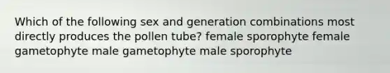 Which of the following sex and generation combinations most directly produces the pollen tube? female sporophyte female gametophyte male gametophyte male sporophyte