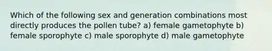 Which of the following sex and generation combinations most directly produces the pollen tube? a) female gametophyte b) female sporophyte c) male sporophyte d) male gametophyte