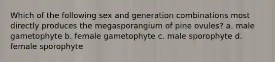 Which of the following sex and generation combinations most directly produces the megasporangium of pine ovules? a. male gametophyte b. female gametophyte c. male sporophyte d. female sporophyte