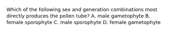 Which of the following sex and generation combinations most directly produces the pollen tube? A. male gametophyte B. female sporophyte C. male sporophyte D. female gametophyte