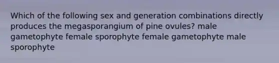 Which of the following sex and generation combinations directly produces the megasporangium of pine ovules? male gametophyte female sporophyte female gametophyte male sporophyte