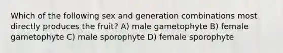 Which of the following sex and generation combinations most directly produces the fruit? A) male gametophyte B) female gametophyte C) male sporophyte D) female sporophyte