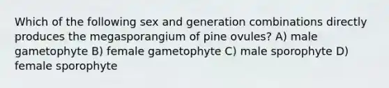 Which of the following sex and generation combinations directly produces the megasporangium of pine ovules? A) male gametophyte B) female gametophyte C) male sporophyte D) female sporophyte