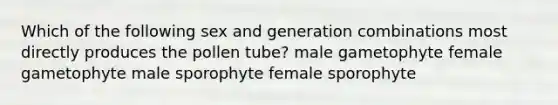 Which of the following sex and generation combinations most directly produces the pollen tube? male gametophyte female gametophyte male sporophyte female sporophyte