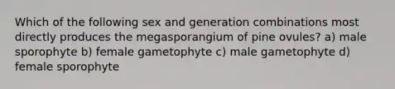 Which of the following sex and generation combinations most directly produces the megasporangium of pine ovules? a) male sporophyte b) female gametophyte c) male gametophyte d) female sporophyte