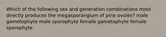 Which of the following sex and generation combinations most directly produces the megasporangium of pine ovules? male gametophyte male sporophyte female gametophyte female sporophyte