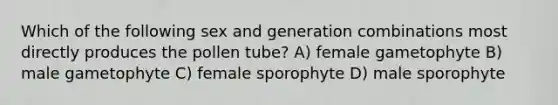 Which of the following sex and generation combinations most directly produces the pollen tube? A) female gametophyte B) male gametophyte C) female sporophyte D) male sporophyte