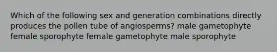 Which of the following sex and generation combinations directly produces the pollen tube of angiosperms? male gametophyte female sporophyte female gametophyte male sporophyte