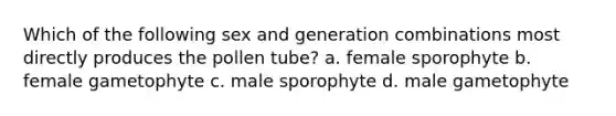 Which of the following sex and generation combinations most directly produces the pollen tube? a. female sporophyte b. female gametophyte c. male sporophyte d. male gametophyte