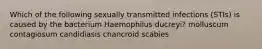 Which of the following sexually transmitted infections (STIs) is caused by the bacterium Haemophilus ducreyi? molluscum contagiosum candidiasis chancroid scabies