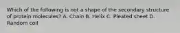 Which of the following is not a shape of the secondary structure of protein molecules? A. Chain B. Helix C. Pleated sheet D. Random coil