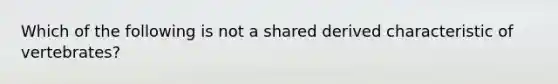 Which of the following is not a shared derived characteristic of vertebrates?