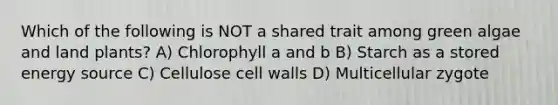 Which of the following is NOT a shared trait among green algae and land plants? A) Chlorophyll a and b B) Starch as a stored energy source C) Cellulose cell walls D) Multicellular zygote