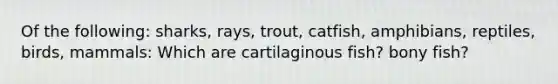 Of the following: sharks, rays, trout, catfish, amphibians, reptiles, birds, mammals: Which are cartilaginous fish? bony fish?