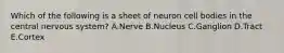 Which of the following is a sheet of neuron cell bodies in the central nervous system? A.Nerve B.Nucleus C.Ganglion D.Tract E.Cortex