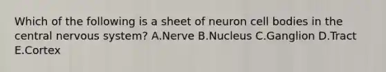 Which of the following is a sheet of neuron cell bodies in the central nervous system? A.Nerve B.Nucleus C.Ganglion D.Tract E.Cortex