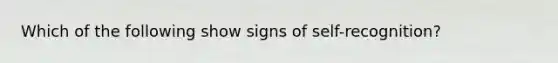 Which of the following show signs of self-recognition?