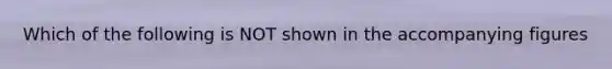Which of the following is NOT shown in the accompanying figures