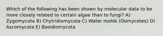 Which of the following has been shown by molecular data to be more closely related to certain algae than to fungi? A) Zygomycota B) Chytridiomycota C) <a href='https://www.questionai.com/knowledge/kIFNBmzf0u-water-molds' class='anchor-knowledge'>water molds</a> (Oomycetes) D) Ascomycota E) Basidiomycota