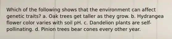 Which of the following shows that the environment can affect genetic traits? a. Oak trees get taller as they grow. b. Hydrangea flower color varies with soil pH. c. Dandelion plants are self-pollinating. d. Pinion trees bear cones every other year.