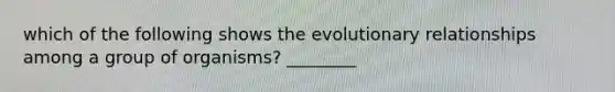 which of the following shows the evolutionary relationships among a group of organisms? ________