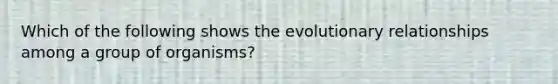 Which of the following shows the evolutionary relationships among a group of organisms?