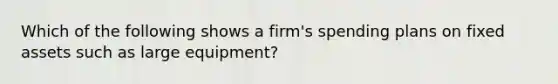 Which of the following shows a firm's spending plans on fixed assets such as large equipment?