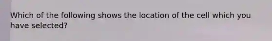 Which of the following shows the location of the cell which you have selected?