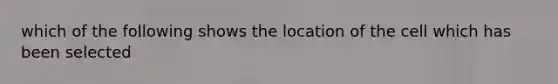 which of the following shows the location of the cell which has been selected