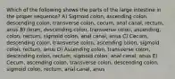 Which of the following shows the parts of the large intestine in the proper sequence? A) Sigmoid colon, ascending colon, descending colon, transverse colon, cecum, anal canal, rectum, anus B) Ileum, descending colon, transverse colon, ascending, colon, rectum, sigmoid colon, anal canal, anus C) Cecum, descending colon, transverse colon, ascending colon, sigmoid colon, rectum, anus D) Ascending colon, transverse colon, descending colon, rectum, sigmoid colon, anal canal, anus E) Cecum, ascending colon, transverse colon, descending colon, sigmoid colon, rectum, anal canal, anus