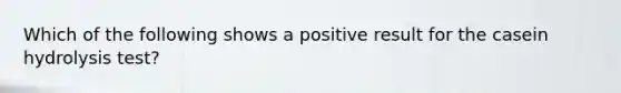 Which of the following shows a positive result for the casein hydrolysis test?