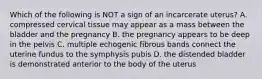 Which of the following is NOT a sign of an incarcerate uterus? A. compressed cervical tissue may appear as a mass between the bladder and the pregnancy B. the pregnancy appears to be deep in the pelvis C. multiple echogenic fibrous bands connect the uterine fundus to the symphysis pubis D. the distended bladder is demonstrated anterior to the body of the uterus