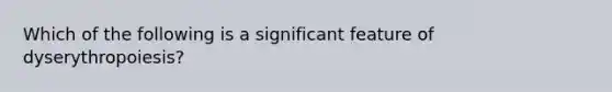 Which of the following is a significant feature of dyserythropoiesis?