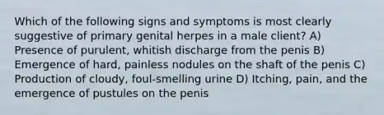 Which of the following signs and symptoms is most clearly suggestive of primary genital herpes in a male client? A) Presence of purulent, whitish discharge from the penis B) Emergence of hard, painless nodules on the shaft of the penis C) Production of cloudy, foul-smelling urine D) Itching, pain, and the emergence of pustules on the penis