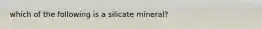 which of the following is a silicate mineral?