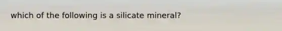 which of the following is a silicate mineral?