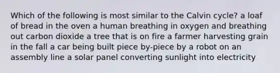 Which of the following is most similar to the Calvin cycle? a loaf of bread in the oven a human breathing in oxygen and breathing out carbon dioxide a tree that is on fire a farmer harvesting grain in the fall a car being built piece by-piece by a robot on an assembly line a solar panel converting sunlight into electricity